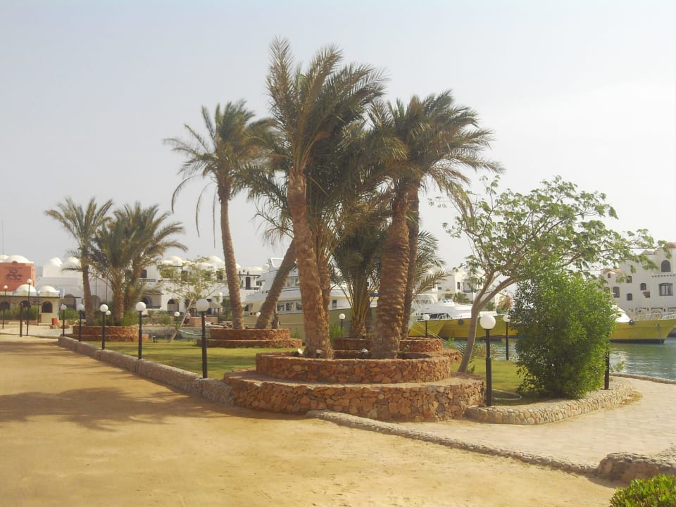 Weg zum Riff Arabella Azur Resort