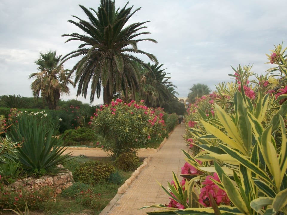 Дорога на пляж Hawai Beach Club