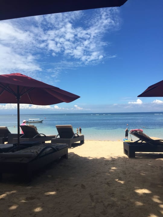 Blick von der Liege The Laguna A Luxury Collection Resort & Spa