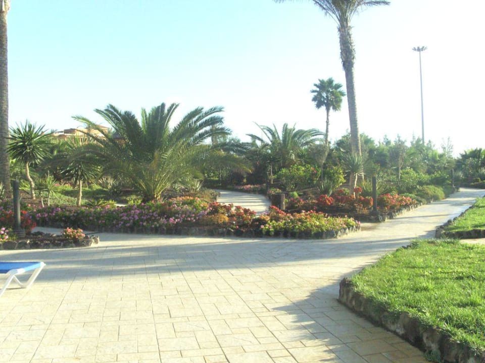 Teil der Gartenanlage Elba Carlota Beach & Golf Resort