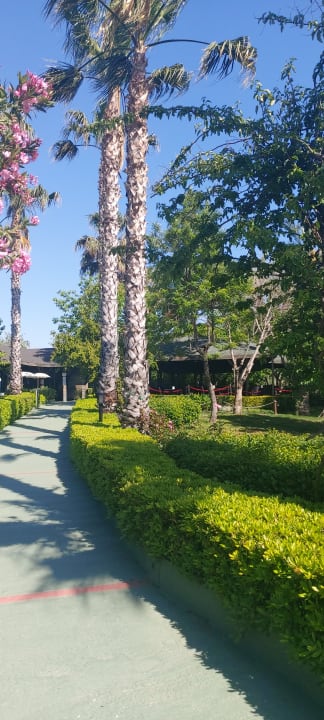 Gartenanlage Trendy Aspendos Beach Hotel