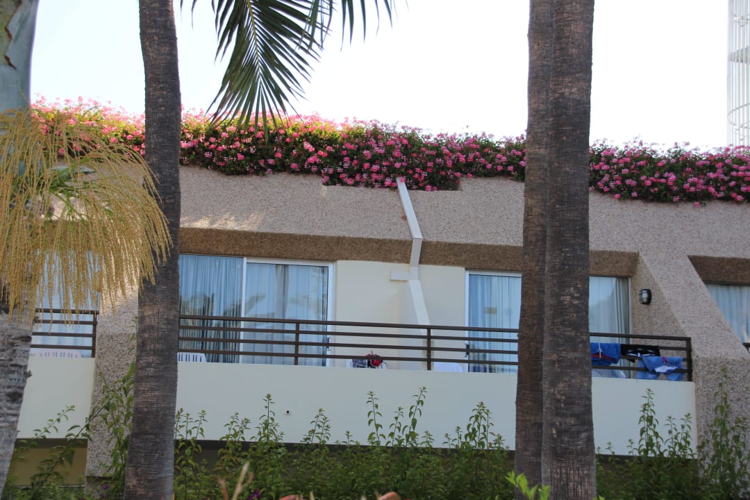 Hôtel H10 Las Palmeras - La Bungalo 2015 H10 Las Palmeras