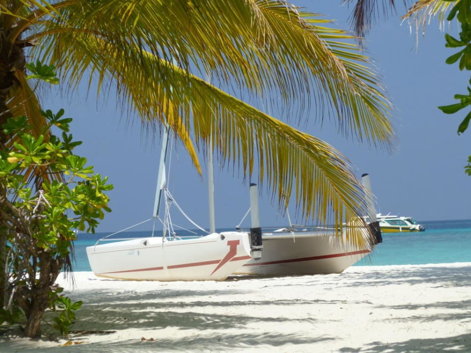 Strand Summer Island Maldives