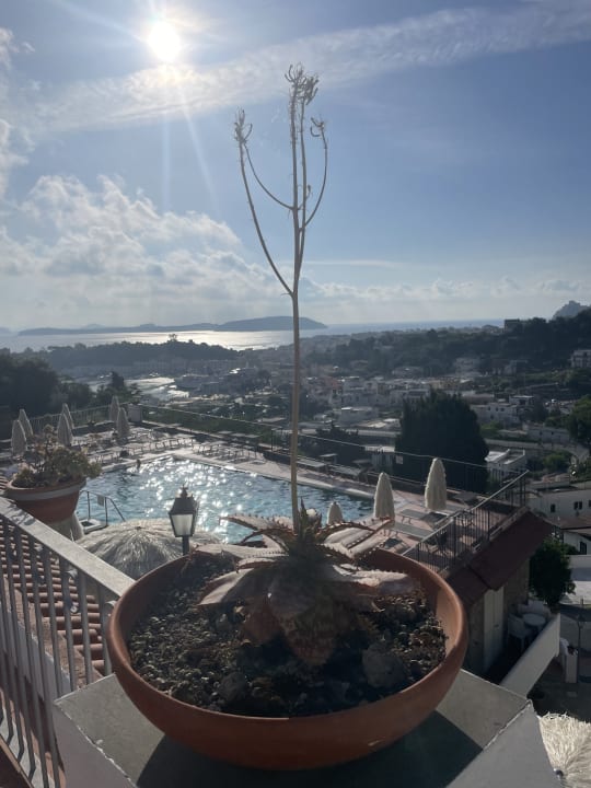 Pool Hotel Don Pedro