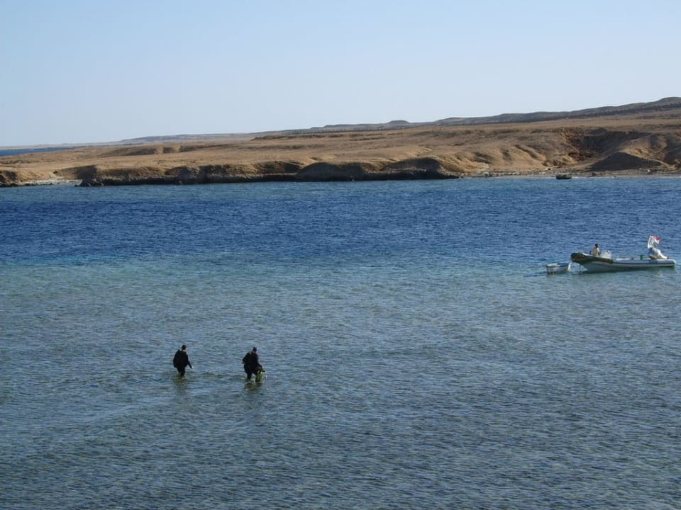 Zodiac der Tauchbasis Siva Golden Bay Makadi