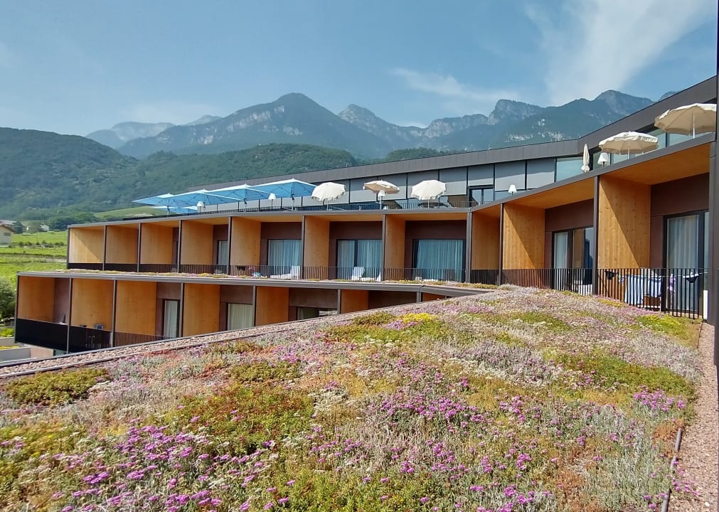 Ausblick Hotel Thalhof am See