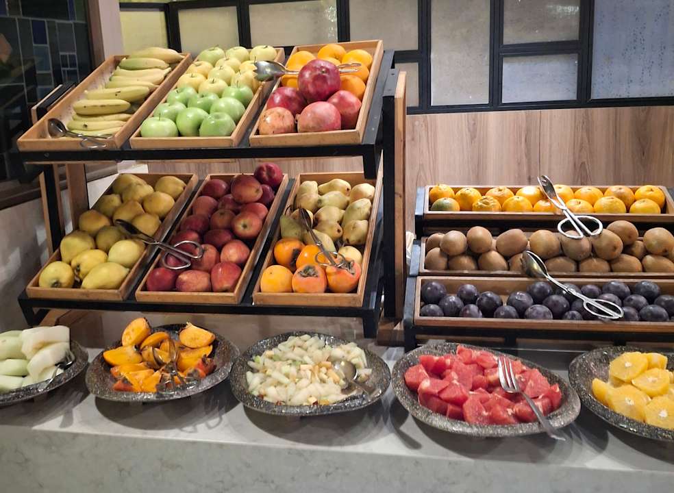 Gastro PALOMA Perissia