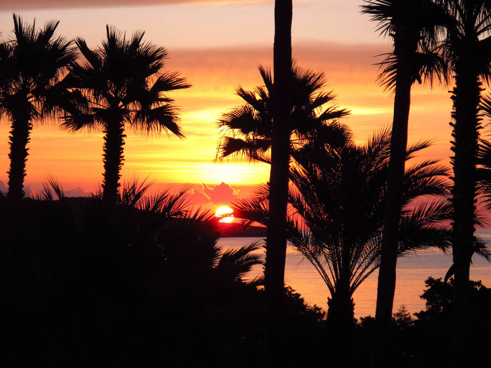 Sonnenaufgang vom Hotelzimmer aus gesehen. Hipotels Mediterraneo Club