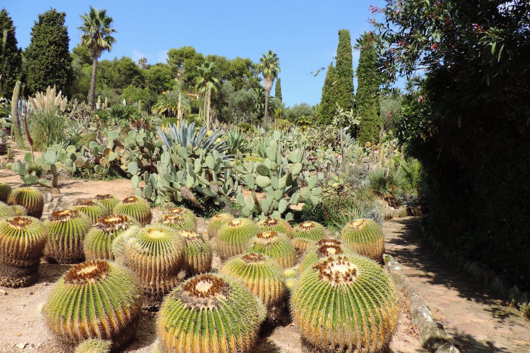 Ogród Botaniczny w Blanes Hotel Alhambra