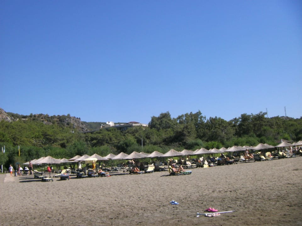 Strand mit Liegen  TUI MAGIC LIFE Sarigerme