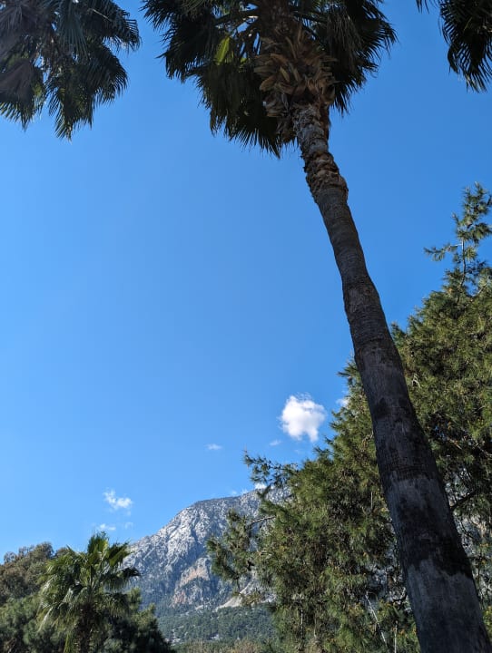 Außenansicht TUI MAGIC LIFE Beldibi +16