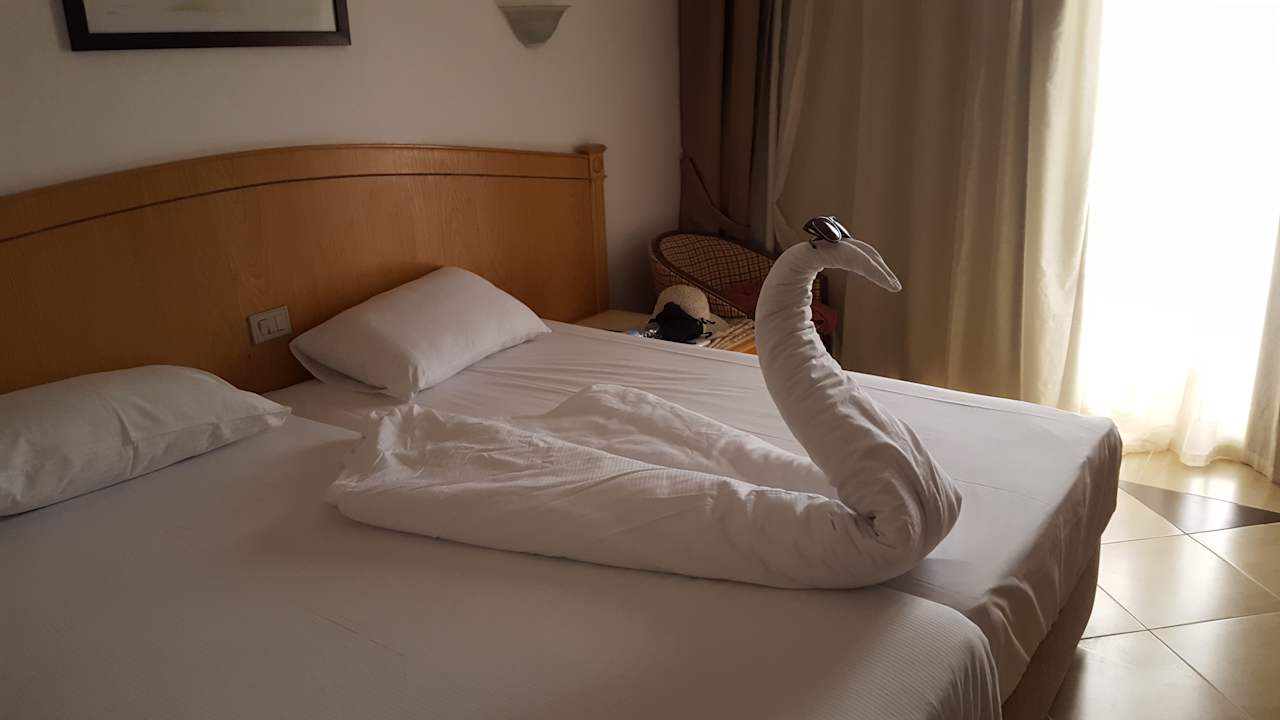 Zimmer Beach Albatros Resort