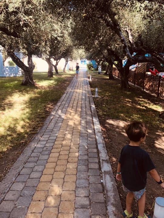 Gartenanlage TUI KIDS CLUB Alex Beach