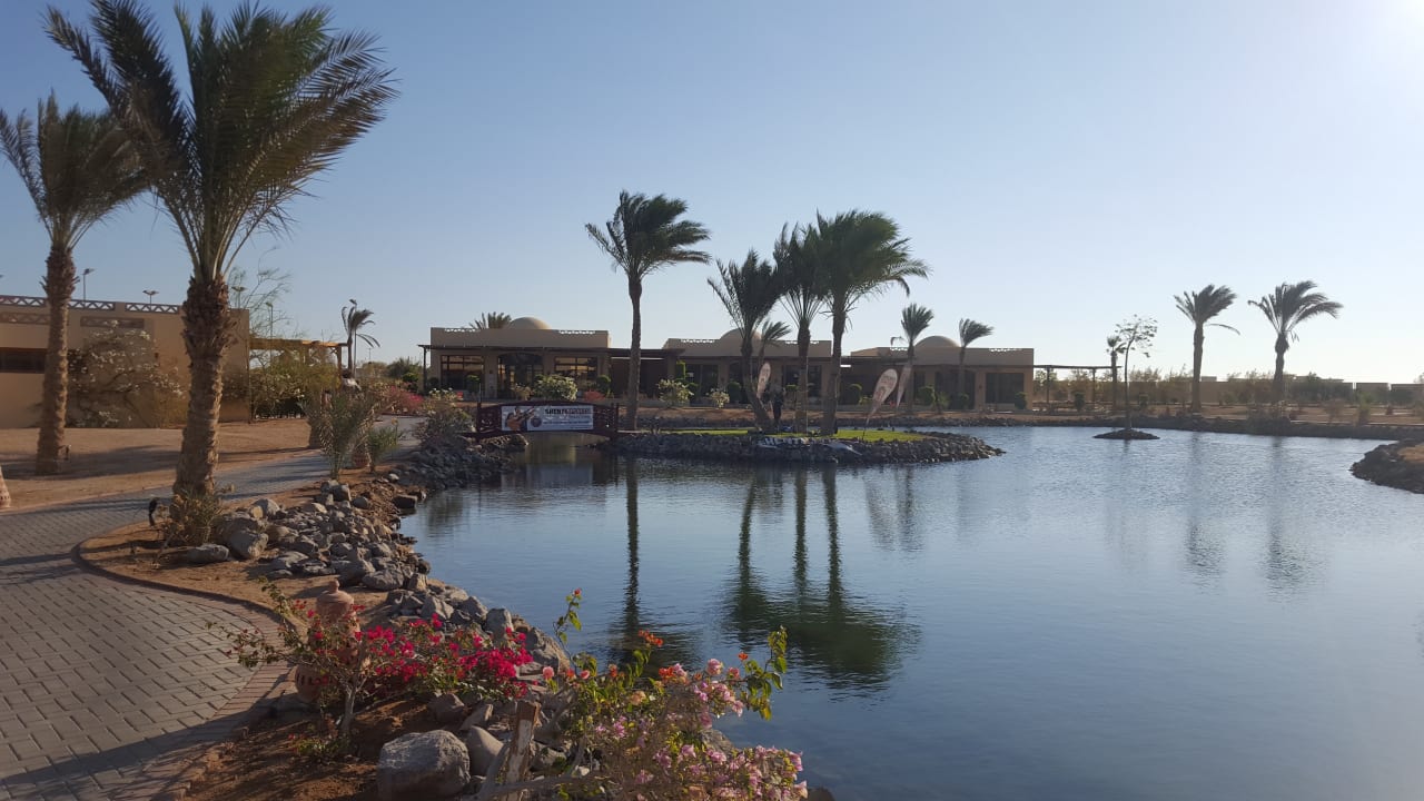 Pool ROBINSON SOMA BAY