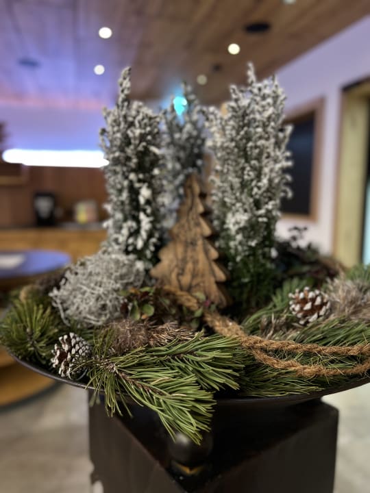 Lobby Panoramahotel Burgeck