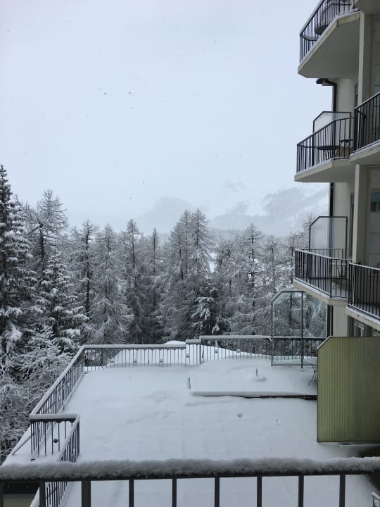 Ausblick Waldhaus Sils