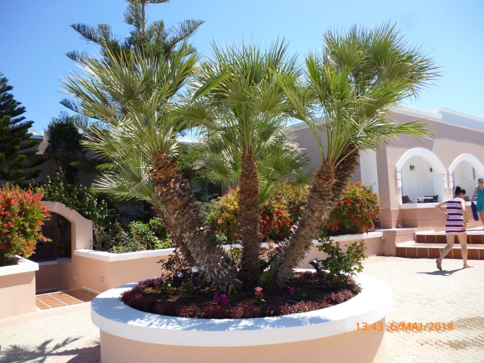 Zieleń na terenie hotelu Mitsis Rodos Village