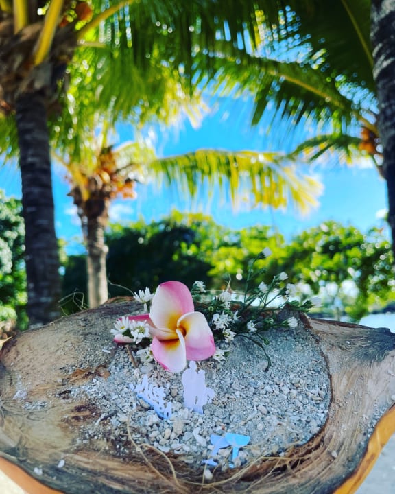 Gartenanlage Lagoon Attitude - Adults only