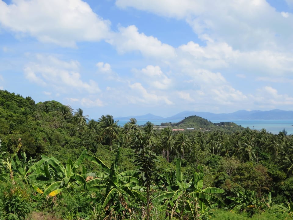 Ausblick vom Hotel Mantra Samui Resort