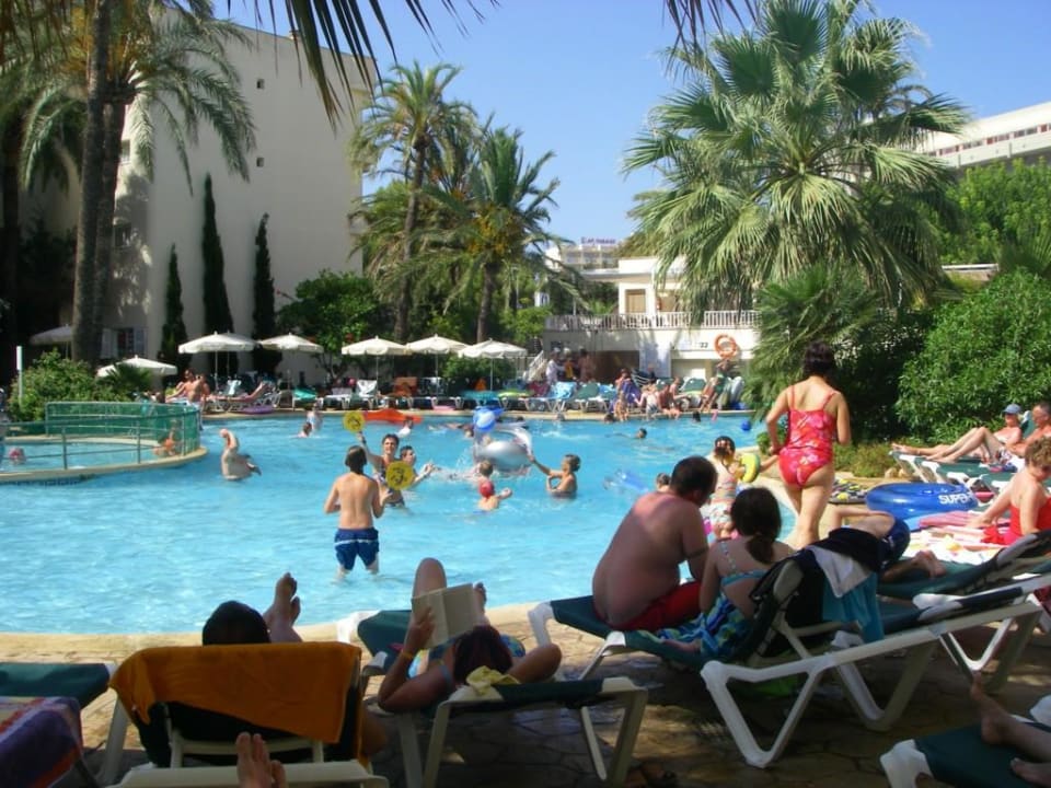 Pool Hotel Palmeras Playa Protur Palmeras Playa Aparthotel