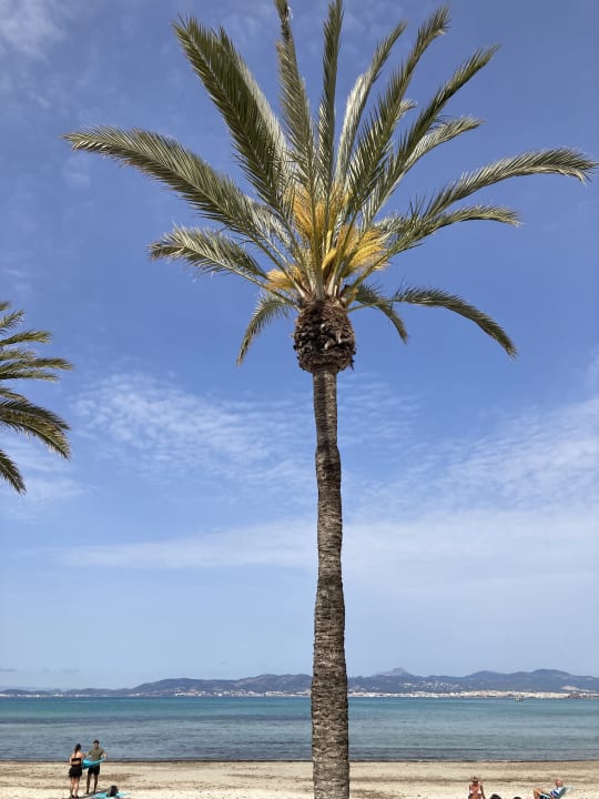 Strand Hotel Pabisa Chico