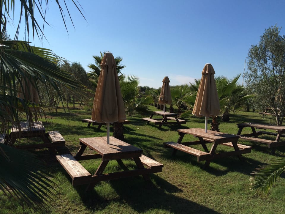 Picknickecke Seaden Sea World Resort & Spa