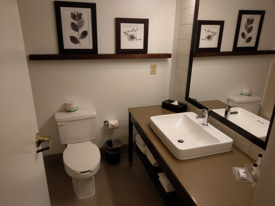 Zimmer Hotel Country Inn & Suites By Carlson, DFW-Airport South