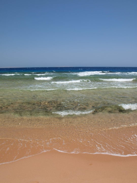 Alle Farben vorhanden Pickalbatros Citadel Resort