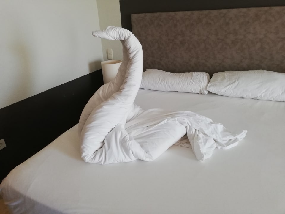 Zimmer PALOMA Perissia