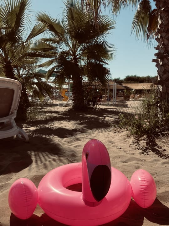 Strand Paloma Oceana
