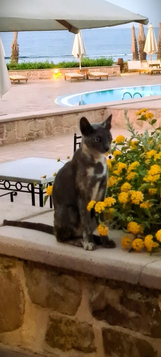 Sonstiges Mövenpick Resort El Quseir