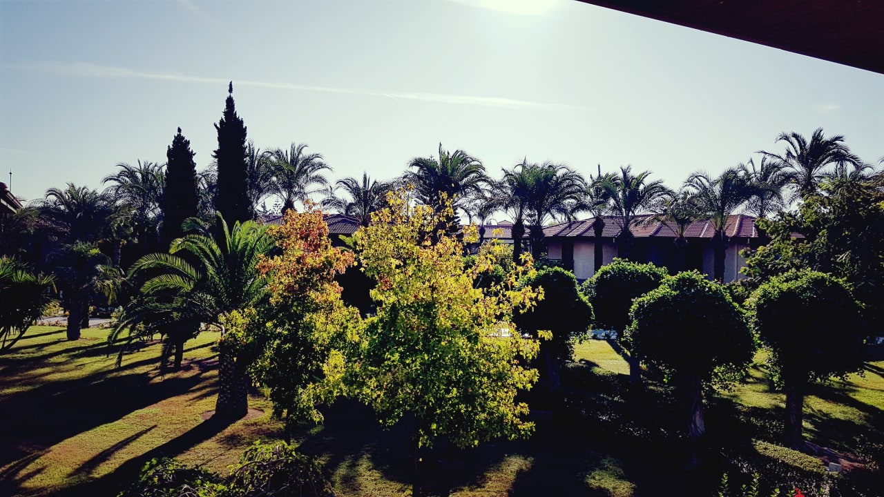 Gartenanlage TUI BLUE Palm Garden