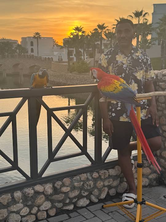 Sonstiges Salalah Rotana Resort