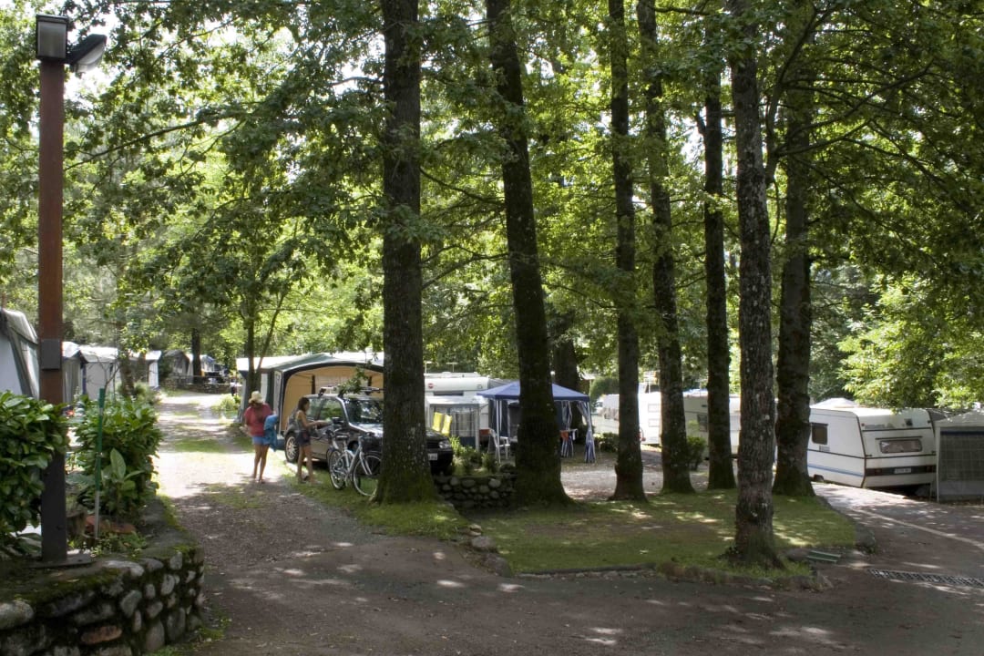 Parcelas Camping Els Roures Càmping Els Roures