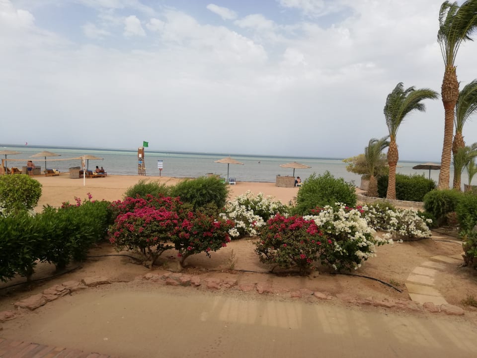 Zimmer Mövenpick Resort & Spa El Gouna