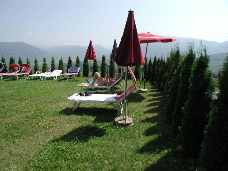 Liegewiese am Schwimmbad Hotel Steinegger