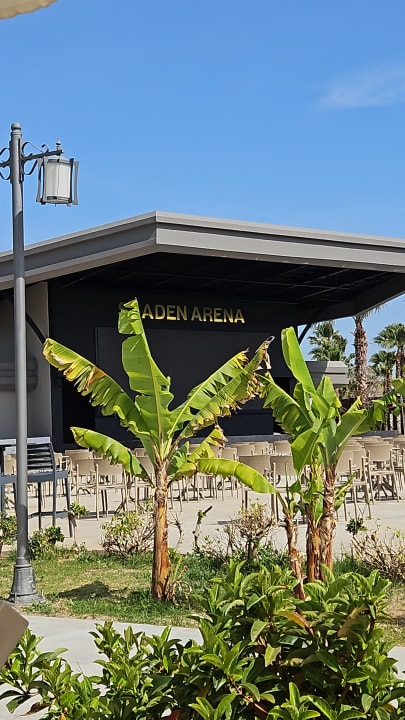 Sport & Freizeit Seaden Sea Planet Resort & Spa