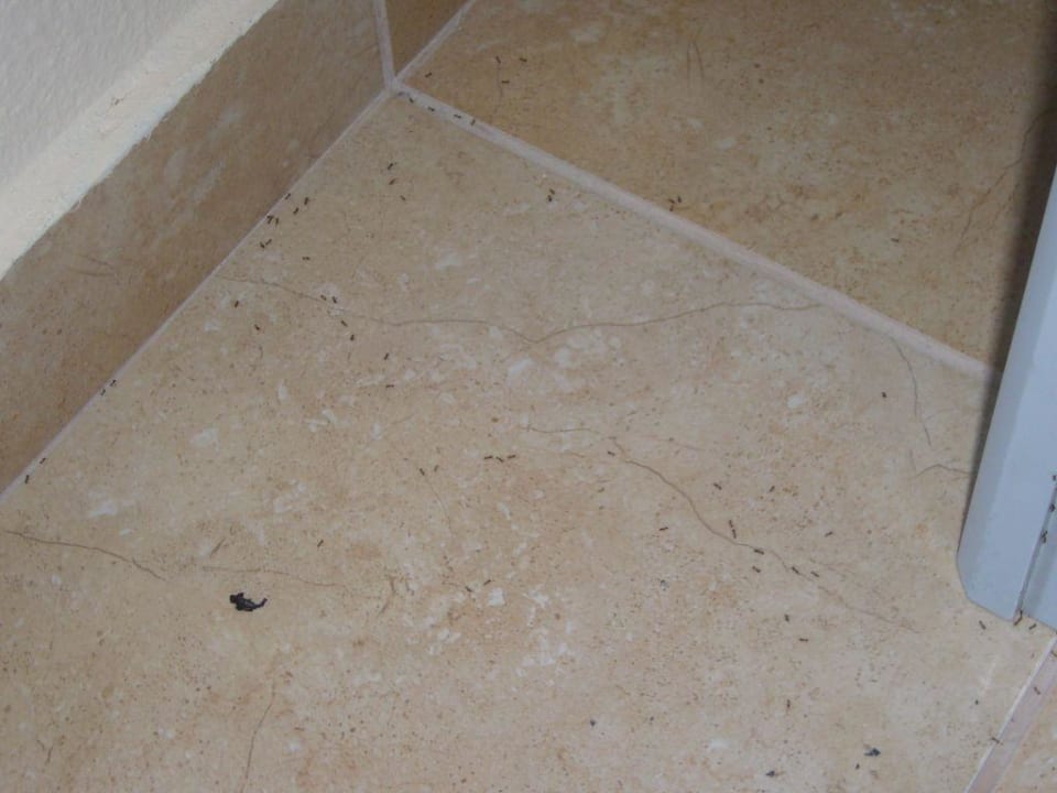 weitere Mitbewohner Marianna Palace Hotel