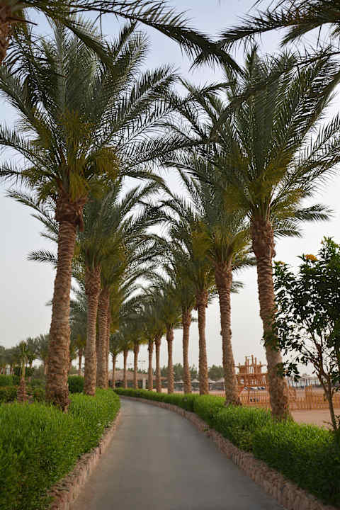 Promenadka JAZ Mirabel Beach
