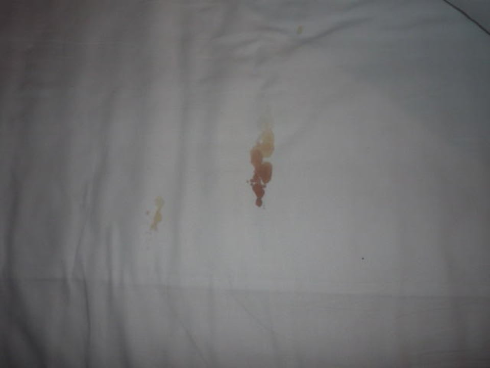 Mein Fehler H+ Hotel Berlin Mitte