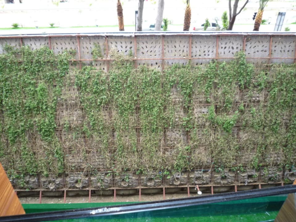 Ausblick vom Zimmer Granada Luxury Okurcalar