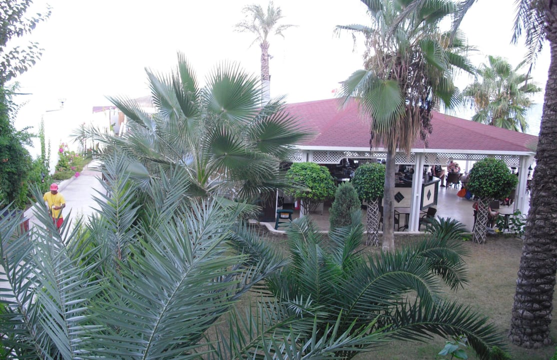 Blick vom Zimmer 1029 auf Poolbar Onkel Hotels - Beldibi Resort