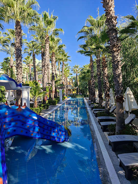 Pool Hotel Delphin Palace