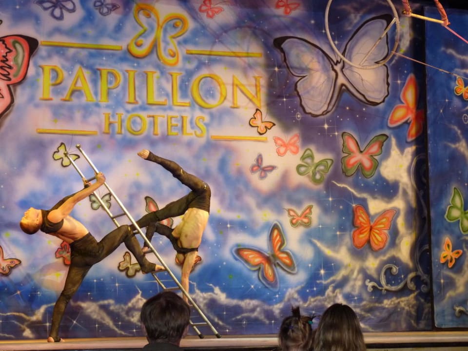 Show time Papillon Ayscha