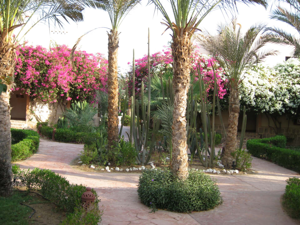 Gartenanlage Dream Lagoon Resort & Aqua Park