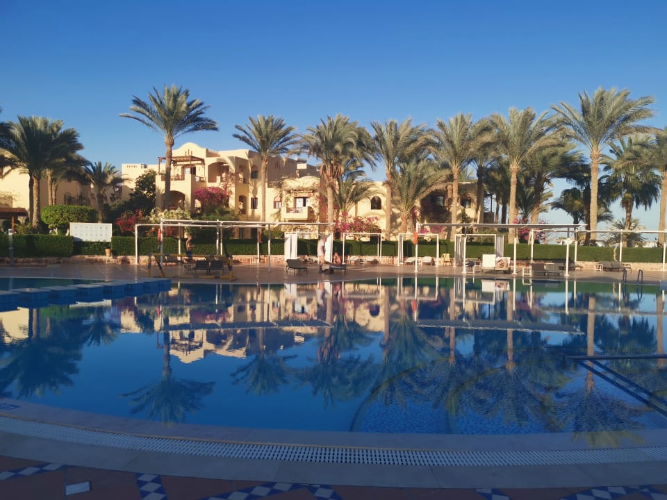 Pool Steigenberger Coraya Beach - Adults only