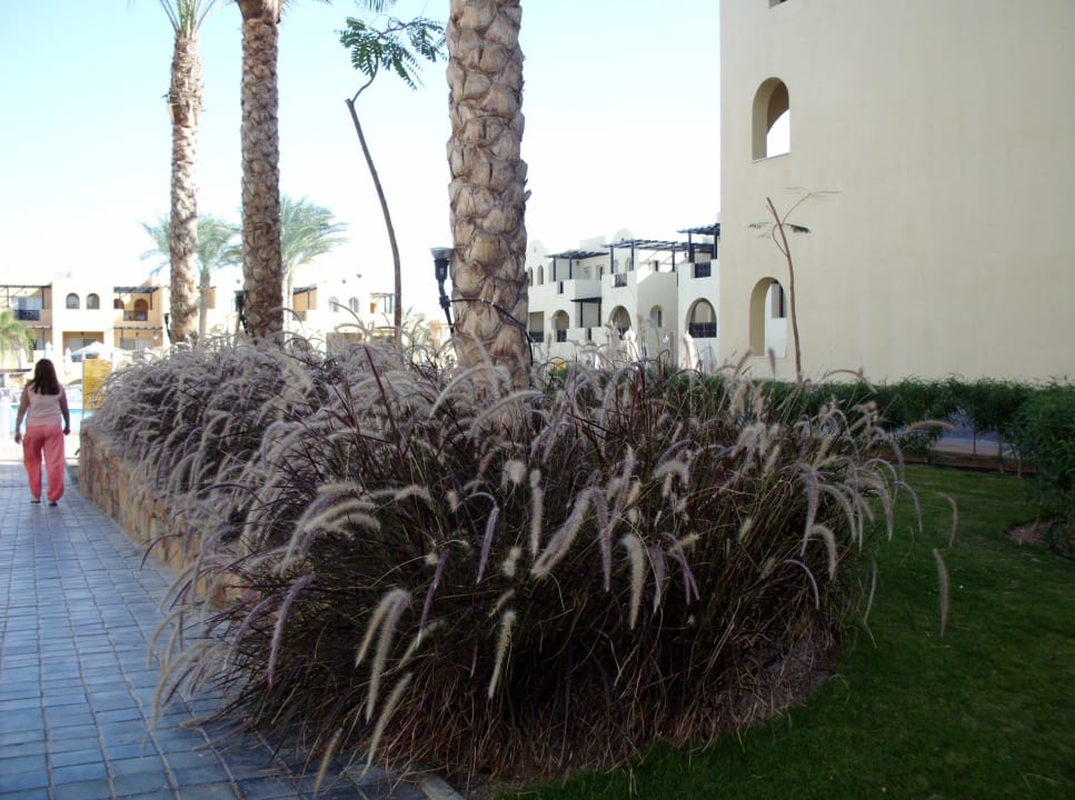 Nähe beheizten Pool Stella Garden Resort & Spa, Makadi Bay