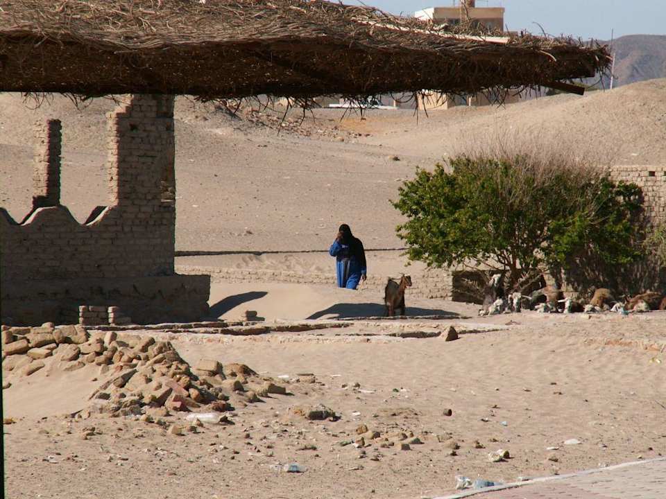 So leben die freundlichen Menschen neben dem Hotel Sea Hug Resort