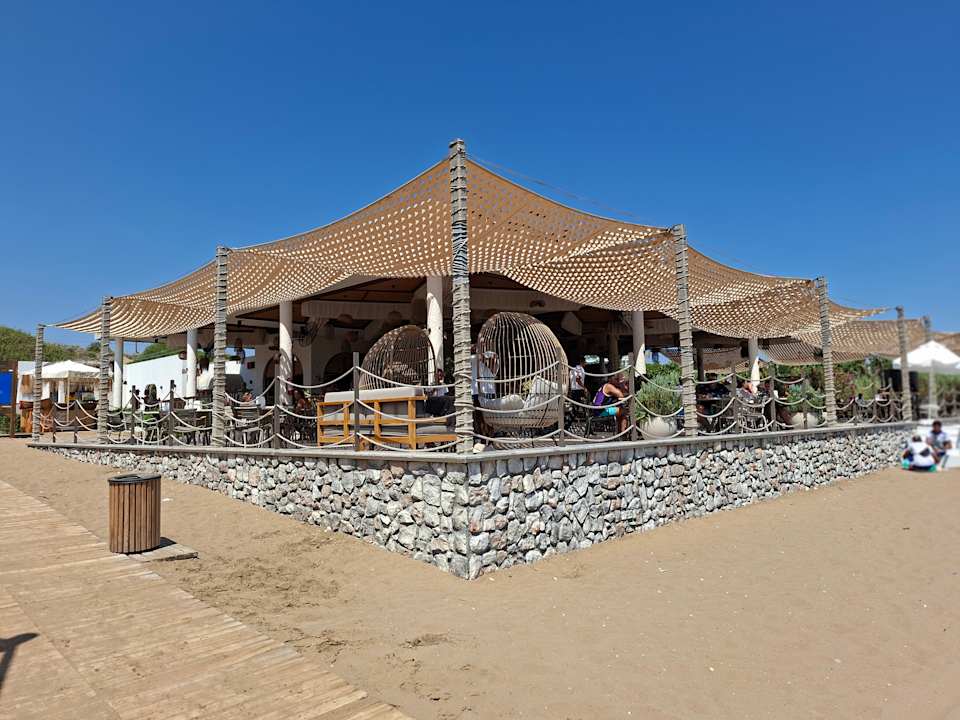 Strand Seashell Vega