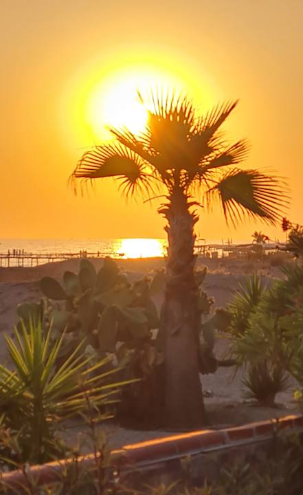 Ausblick Önder Yildiz Hotel